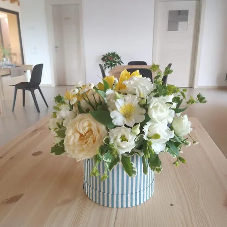 Vakantieboerderij Verdecielo Padua