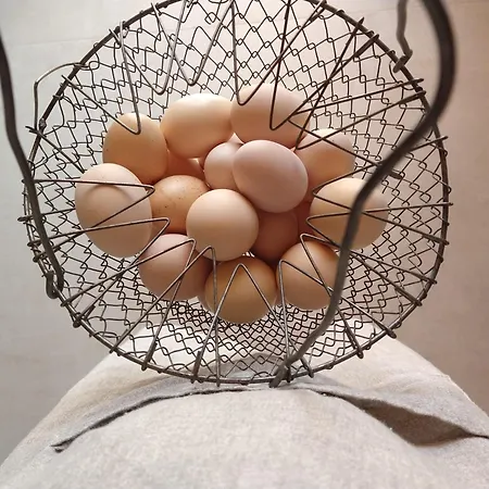 Verdecielo Vakantieboerderij Padua