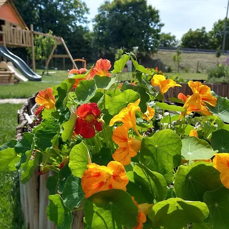 Vakantieboerderij Verdecielo Padua