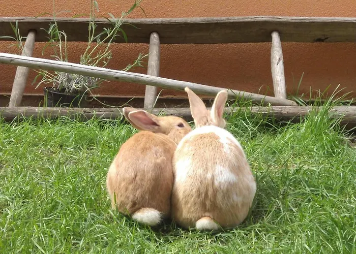 农家乐 Verdecielo