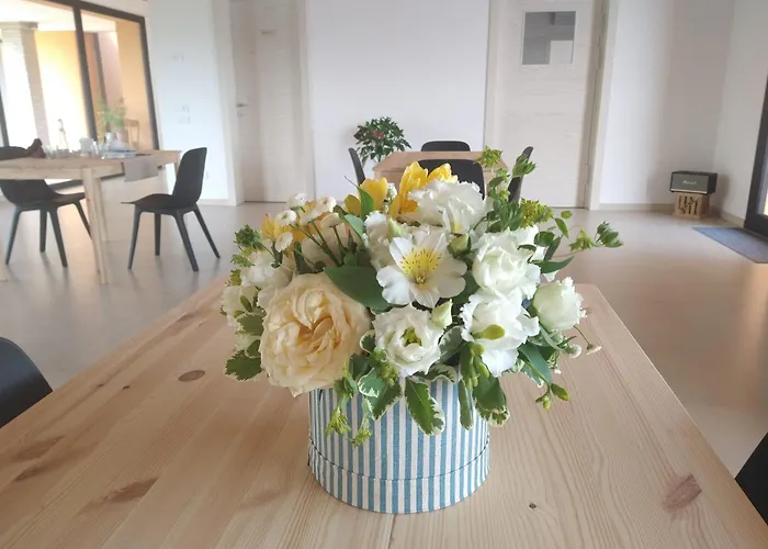 农家乐 Verdecielo 帕多瓦