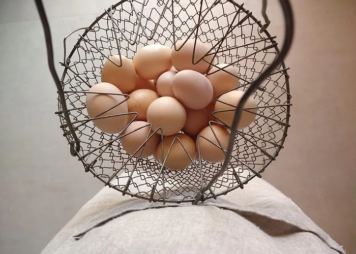 Verdecielo 农家乐 帕多瓦