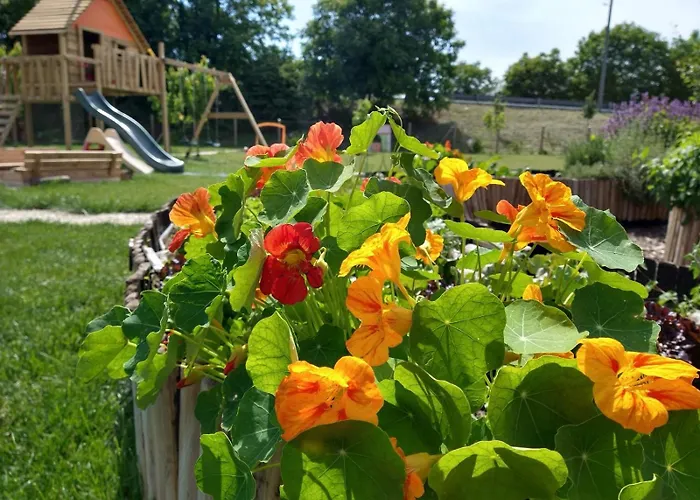 农家乐 Verdecielo 帕多瓦